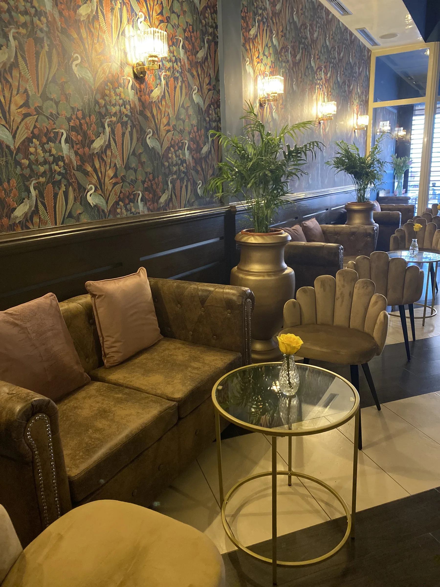 Warm interior seating and patterned walls at Mucho Más